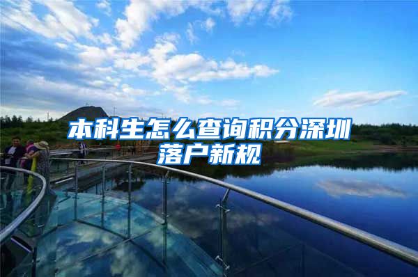 本科生怎么查询积分深圳落户新规