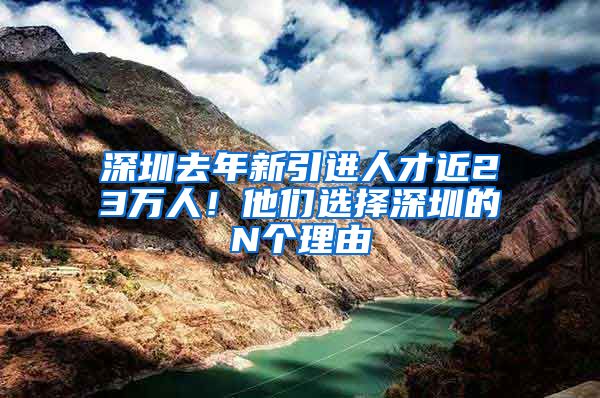 深圳去年新引进人才近23万人！他们选择深圳的N个理由