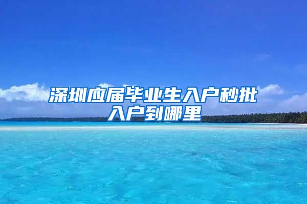 深圳应届毕业生入户秒批入户到哪里