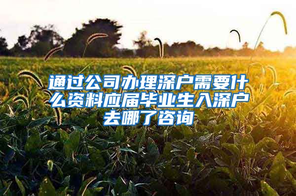 通过公司办理深户需要什么资料应届毕业生入深户去哪了咨询