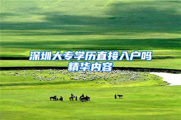 深圳大专学历直接入户吗精华内容