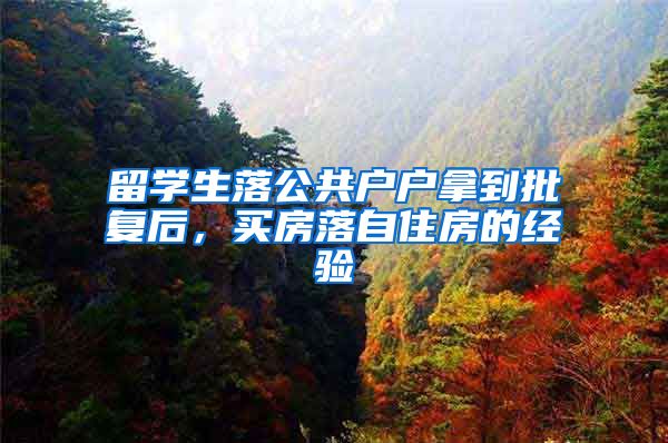 留学生落公共户户拿到批复后，买房落自住房的经验