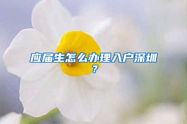 应届生怎么办理入户深圳？