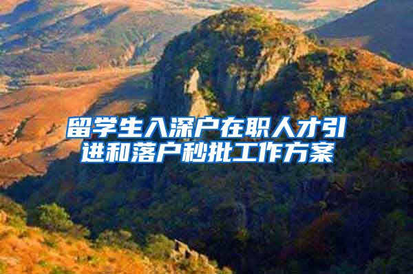 留学生入深户在职人才引进和落户秒批工作方案