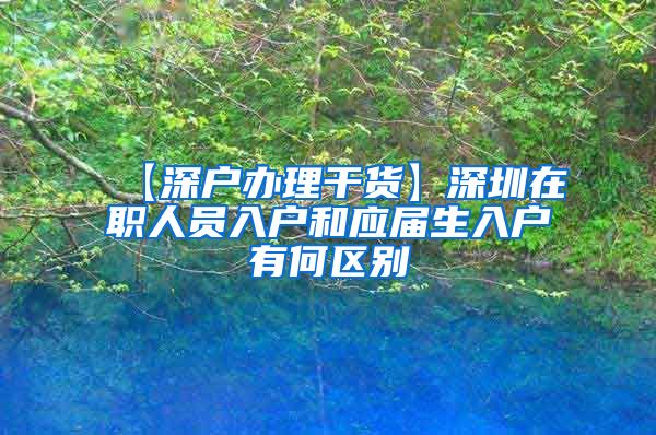 【深户办理干货】深圳在职人员入户和应届生入户有何区别