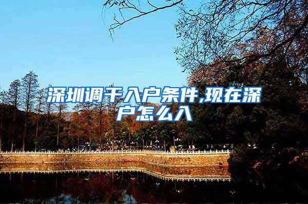 深圳调干入户条件,现在深户怎么入