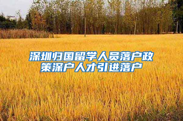 深圳归国留学人员落户政策深户人才引进落户