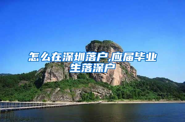 怎么在深圳落户,应届毕业生落深户