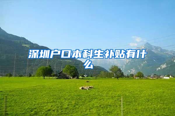 深圳户口本科生补贴有什么