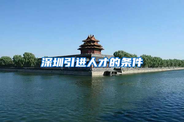 深圳引进人才的条件