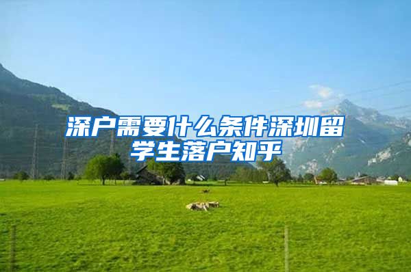 深户需要什么条件深圳留学生落户知乎
