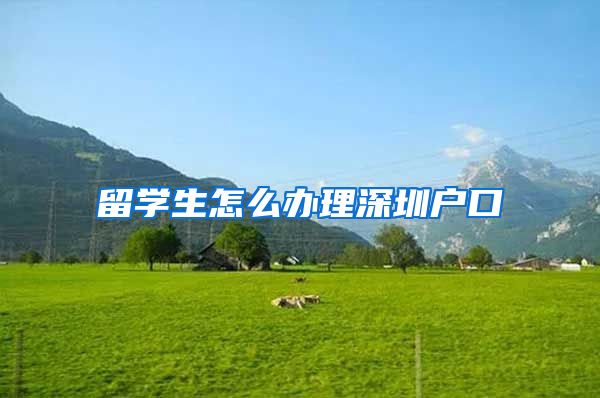 留学生怎么办理深圳户口