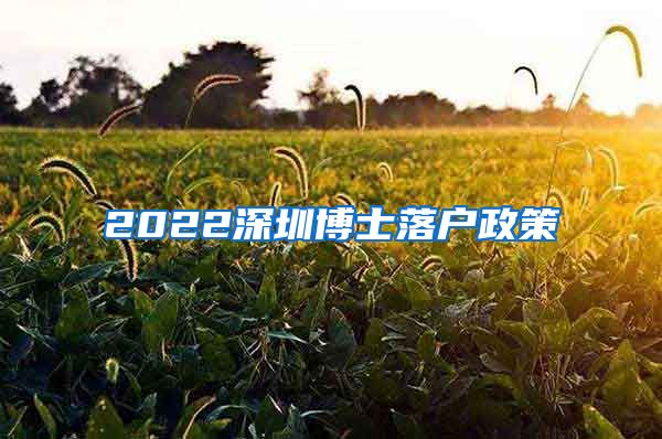 2022深圳博士落户政策