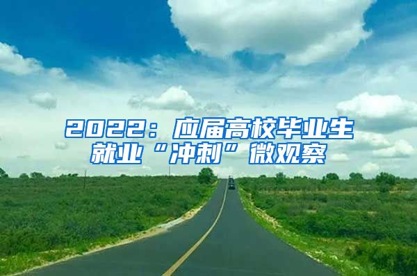 2022：应届高校毕业生就业“冲刺”微观察