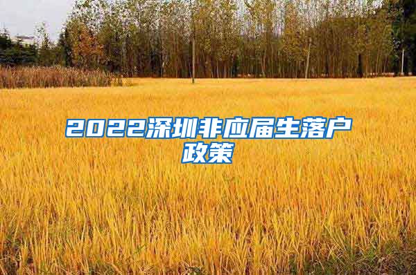 2022深圳非应届生落户政策