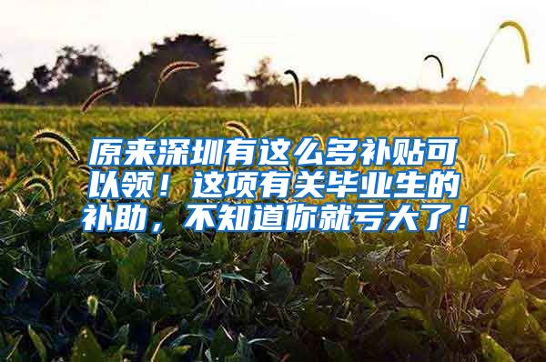 原来深圳有这么多补贴可以领！这项有关毕业生的补助，不知道你就亏大了！
