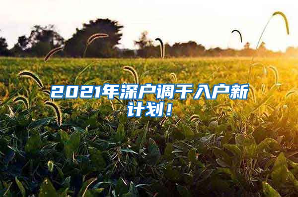2021年深户调干入户新计划！