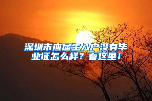 深圳市应届生入户没有毕业证怎么样？看这里！