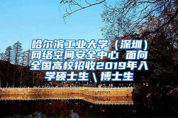 哈尔滨工业大学（深圳）网络空间安全中心 面向全国高校招收2019年入学硕士生＼博士生