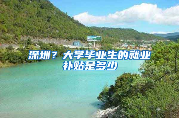 深圳？大学毕业生的就业补贴是多少