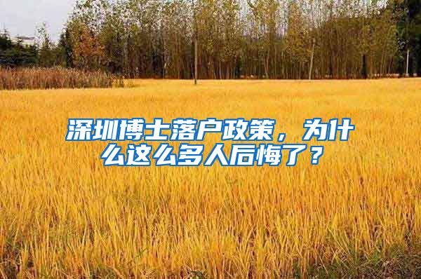 深圳博士落户政策，为什么这么多人后悔了？