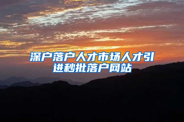 深户落户人才市场人才引进秒批落户网站