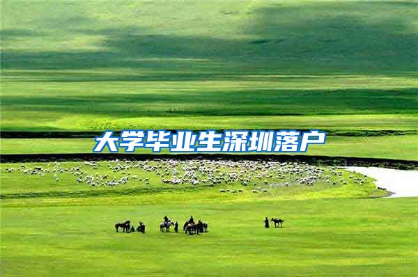 大学毕业生深圳落户