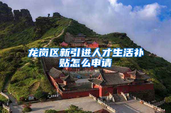 龙岗区新引进人才生活补贴怎么申请
