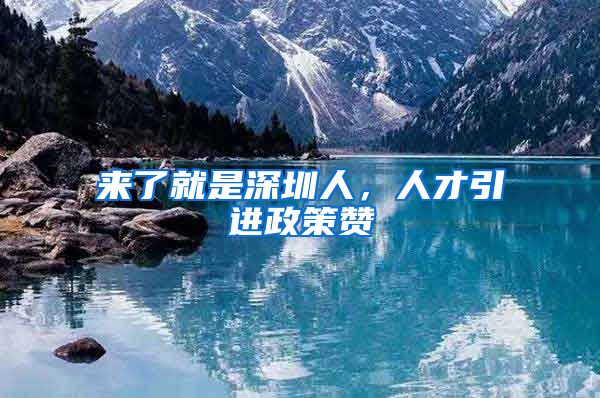 来了就是深圳人，人才引进政策赞