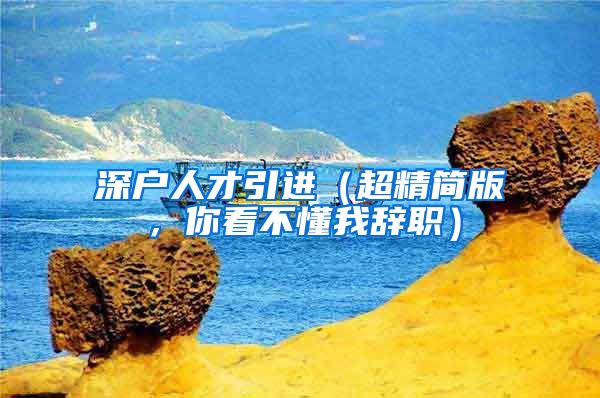 深户人才引进（超精简版，你看不懂我辞职）