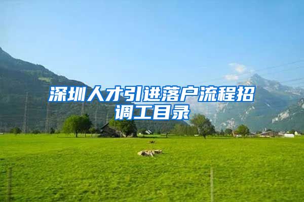深圳人才引进落户流程招调工目录