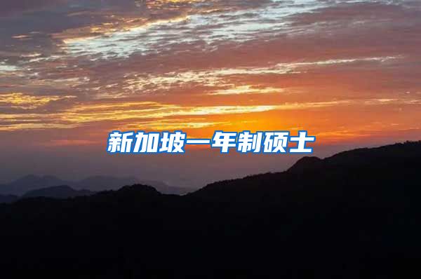 新加坡一年制硕士