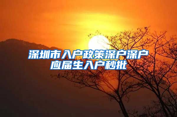 深圳市入户政策深户深户应届生入户秒批
