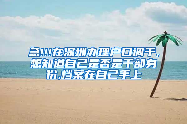 急!!!在深圳办理户口调干,想知道自己是否是干部身份,档案在自己手上