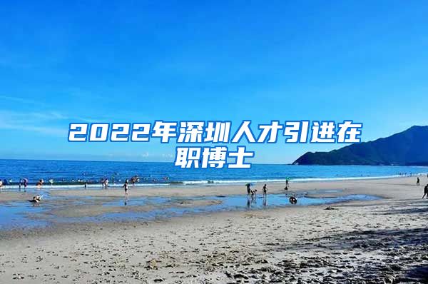 2022年深圳人才引进在职博士