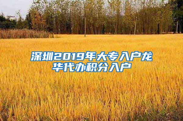 深圳2019年大专入户龙华代办积分入户