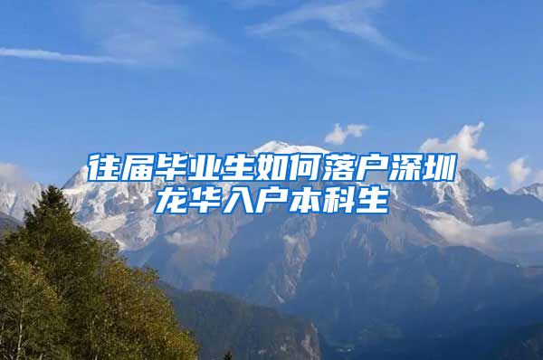 往届毕业生如何落户深圳龙华入户本科生