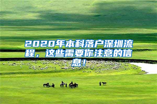 2020年本科落户深圳流程，这些需要你注意的信息！