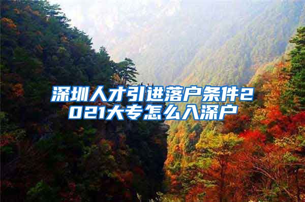深圳人才引进落户条件2021大专怎么入深户