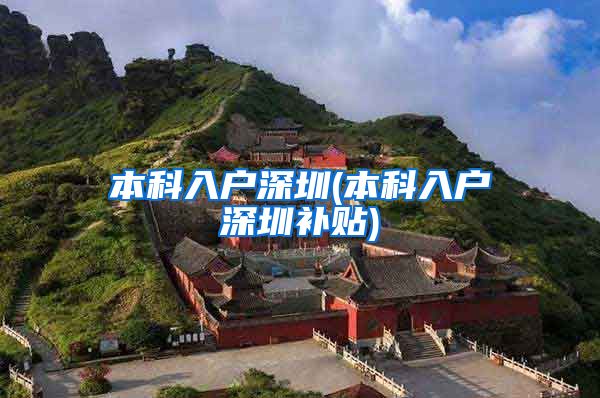 本科入户深圳(本科入户深圳补贴)