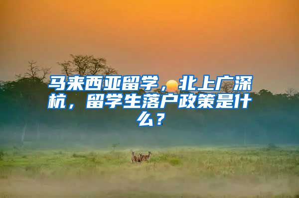 马来西亚留学，北上广深杭，留学生落户政策是什么？