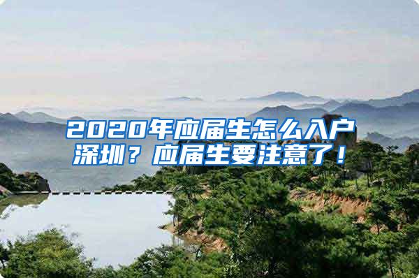 2020年应届生怎么入户深圳？应届生要注意了！