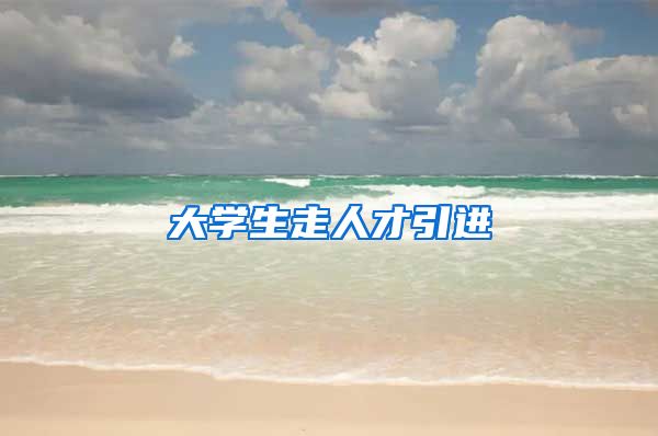 大学生走人才引进