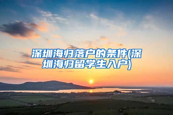 深圳海归落户的条件(深圳海归留学生入户)