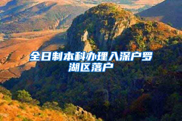 全日制本科办理入深户罗湖区落户