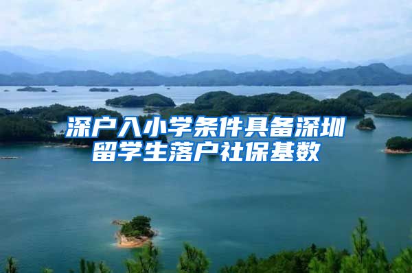 深户入小学条件具备深圳留学生落户社保基数