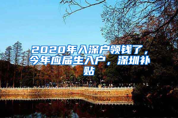 2020年入深户领钱了，今年应届生入户，深圳补贴