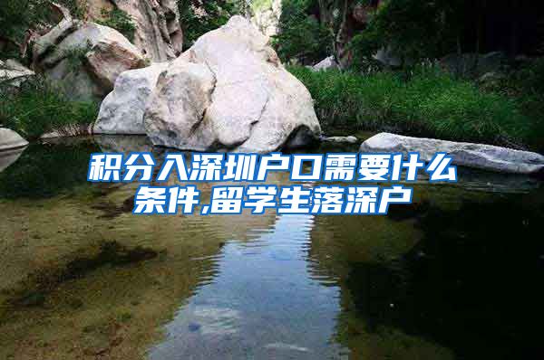 积分入深圳户口需要什么条件,留学生落深户