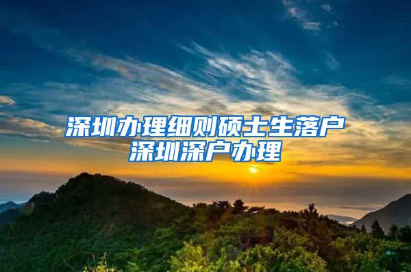 深圳办理细则硕士生落户深圳深户办理