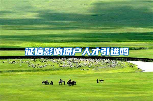 征信影响深户人才引进吗